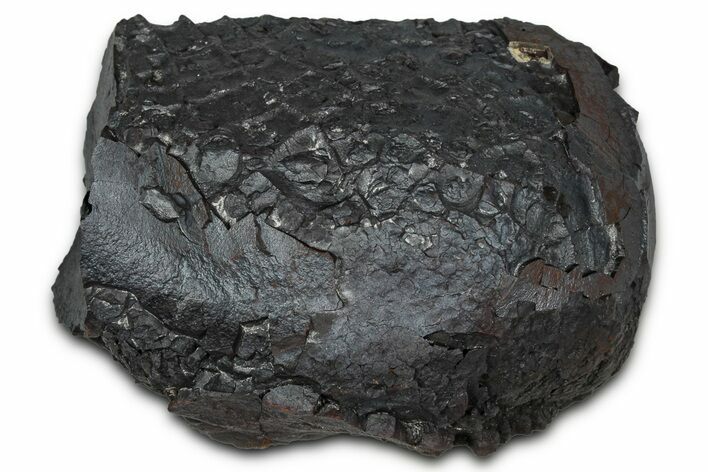 Dragon Scale Stone (Iron, Manganese, Siderite Nodule) #350215